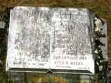 image of grave number 916349